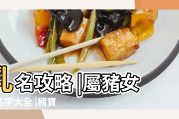 【適合男女豬寶寶的名字】乳名攻略 |屬豬女孩名字大全 |豬寶寶起名大全 |