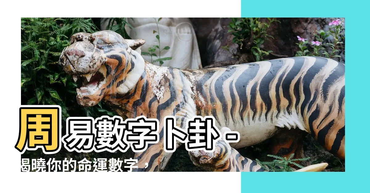 【周易數字】周易數字卜卦 - 揭曉你的命運數字，測試你的吉凶運勢