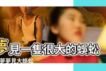【夢見小蜈蚣變大蜈蚣】夢見一隻很大的蜈蚣 |做夢夢見大蜈蚣好不好 |夢見小蜈蚣 |