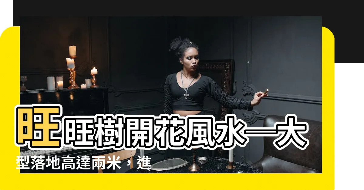 【旺旺樹開花風水】旺旺樹開花風水─大型落地高達兩米，進財樹驚喜客户見證！
