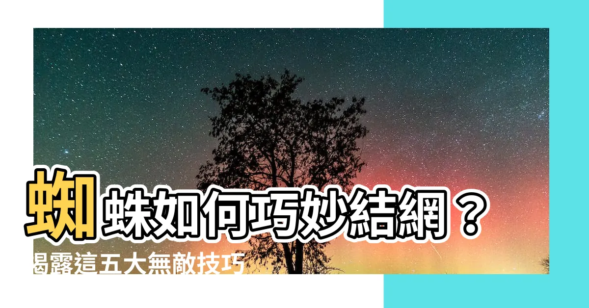 【蜘蛛如何結網】蜘蛛如何巧妙結網？揭露這五大無敵技巧！