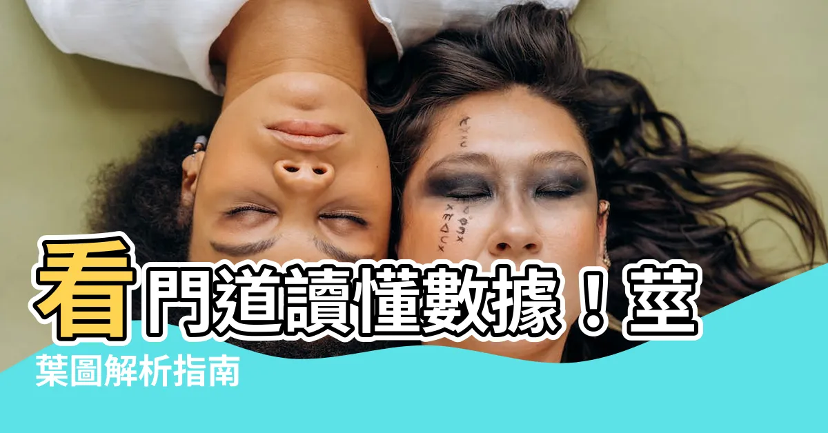【莖葉圖怎麼看】看門道讀懂數據！莖葉圖解析指南