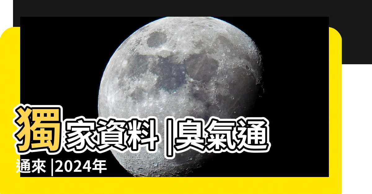 【樓梯下廁所】獨家資料 |臭氣通通來 |2024年更新 |