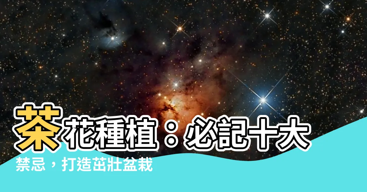 【茶花種植 禁忌】茶花種植：必記十大禁忌，打造茁壯盆栽