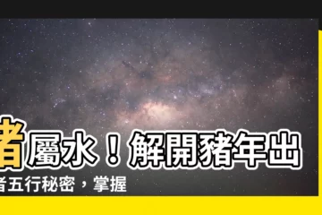 【豬屬水】豬屬水！解開豬年出生者五行秘密，掌握性格與命運走向