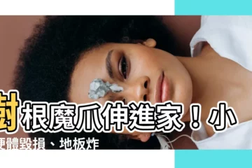 【樹根破壞】樹根魔爪伸進家！小心硬體毀損、地板炸裂
