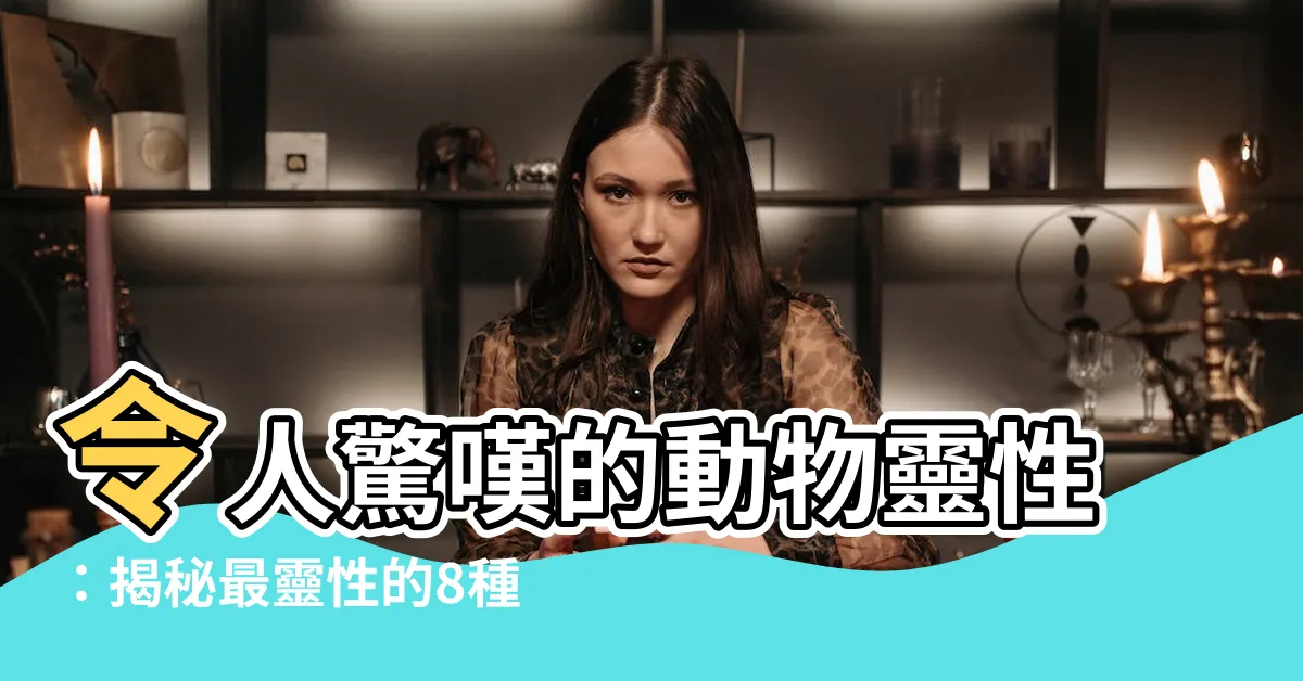 【動物靈性是什麼】令人驚嘆的動物靈性：揭秘最靈性的8種神聖生物！