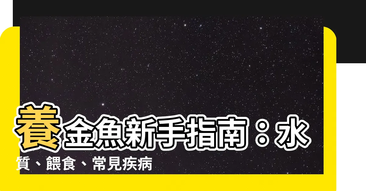 【養金魚】養金魚新手指南：水質、餵食、常見疾病一次搞定！