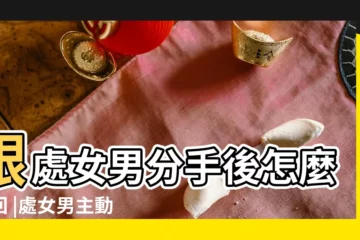 【分手後 怎麼打擊處女男】跟處女男分手後怎麼挽回 |處女男主動提分手怎麼挽回 |和處女座男友分手後學會這樣做就 |