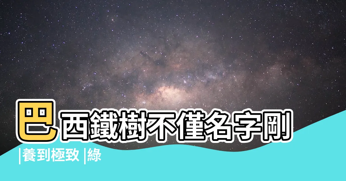 【巴西鐵】巴西鐵樹不僅名字剛 |養到極致 |綠光森林 |