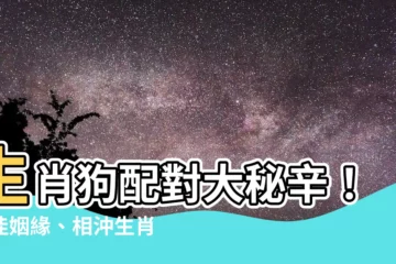 【生肖狗配對】生肖狗配對大秘辛！最佳姻緣、相沖生肖一次揭曉
