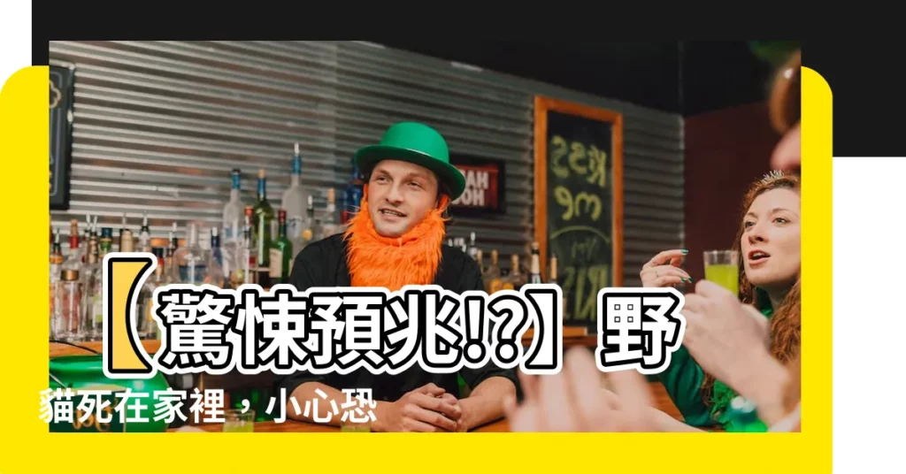 【野貓死在家裡】【驚悚預兆!?】野貓死在家裡，小心恐有這6種不祥徵兆