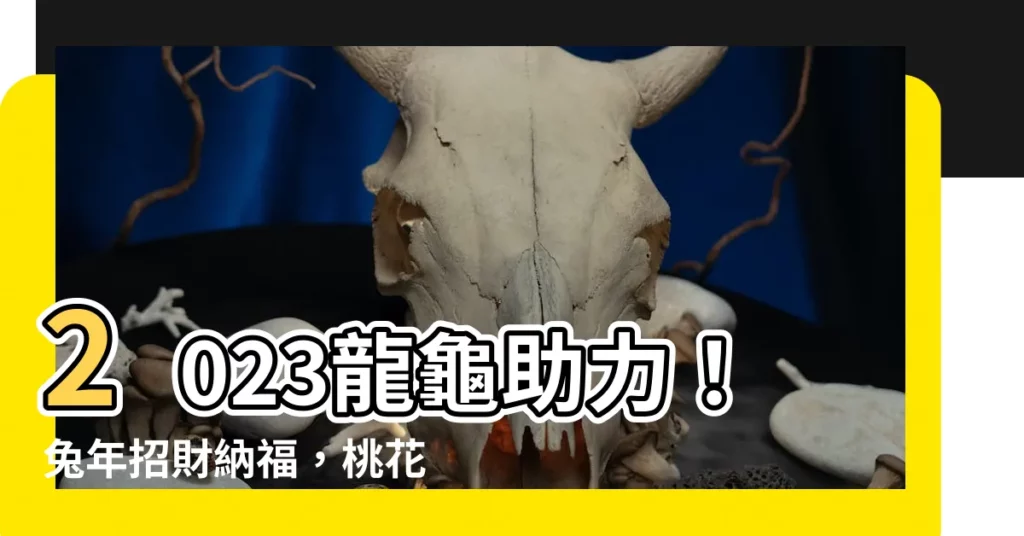 【龍龜擺放2023】2023龍龜助力！兔年招財納福，桃花旺運指南
