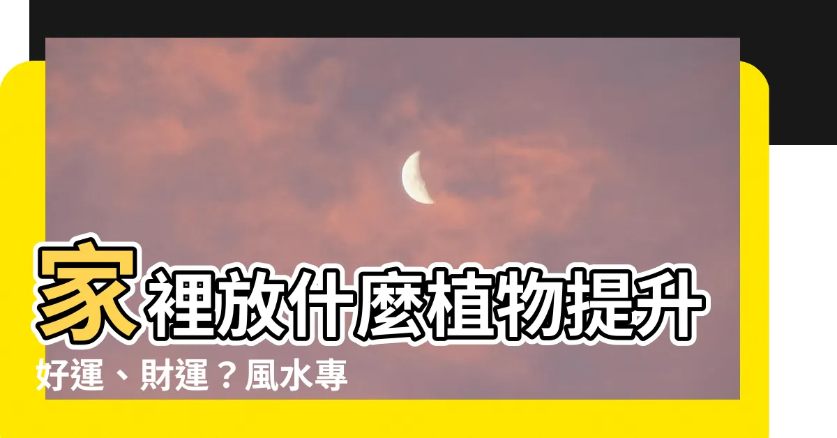 【家裡放什麼植物好】家裡放什麼植物提升好運、財運？風水專家大公開！