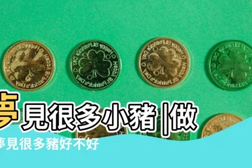 【夢裏有很多豬】夢見很多小豬 |做夢夢見很多豬好不好 |夢見好多豬是什麼意思 |