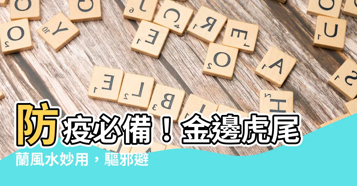 【金邊虎尾蘭】防疫必備！金邊虎尾蘭風水妙用，驅邪避厄超靈驗