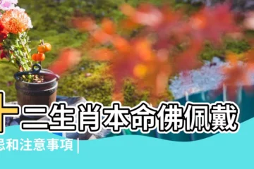 【配帶本命佛有什麼禁忌】十二生肖本命佛佩戴禁忌和注意事項 |佩戴本命佛的禁忌十二生肖守護神 |這些你一定要知道 |