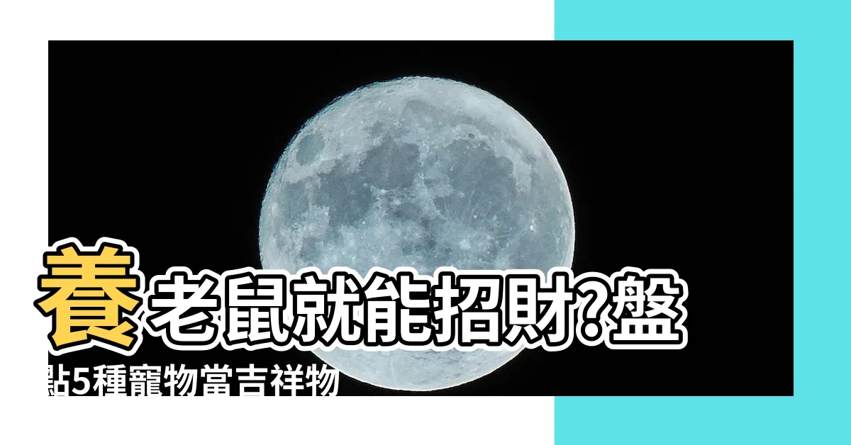 【養老鼠招財】養老鼠就能招財?盤點5種寵物當吉祥物,在家旺運又發財!