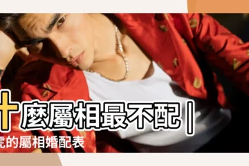 【屬虎和什麼屬相最配】什麼屬相最不配 |屬虎的屬相婚配表 |屬虎的和什麼屬相最配 |
