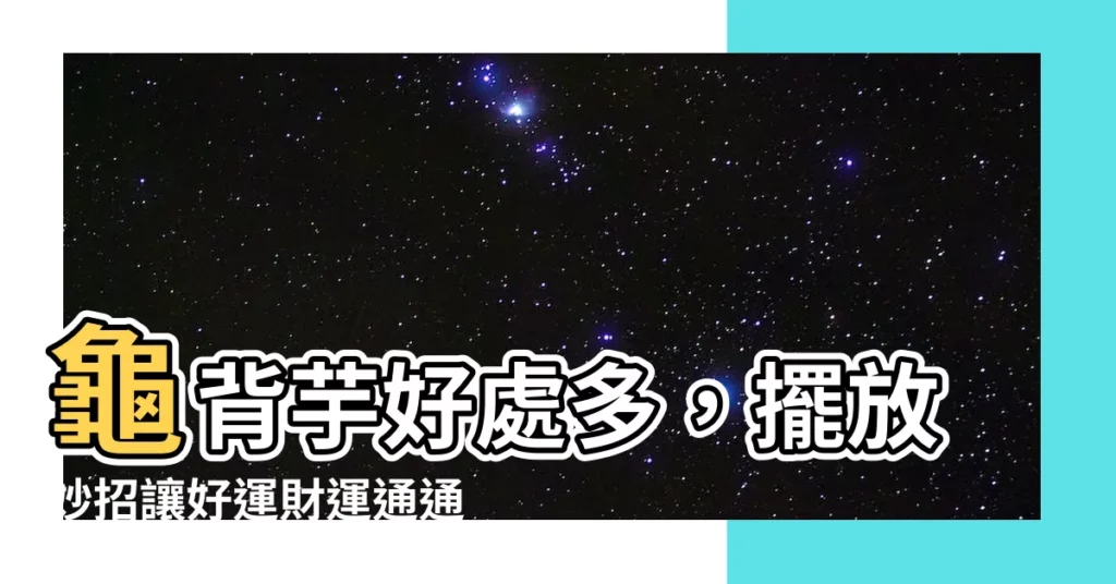 【龜背芋好處】龜背芋好處多，擺放妙招讓好運財運通通來！