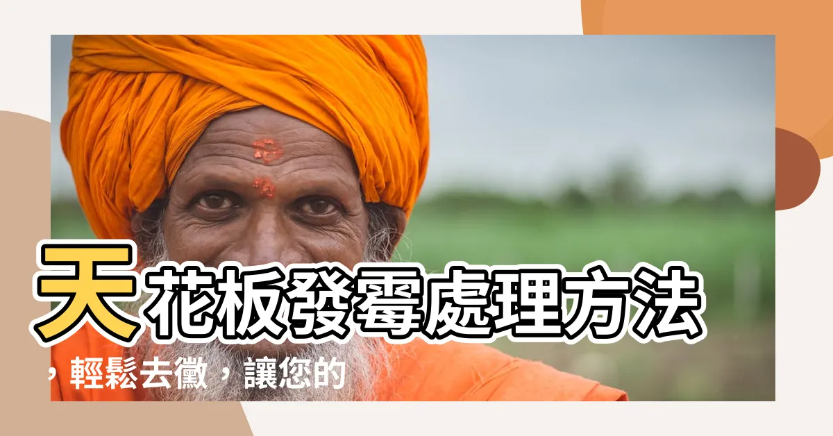 【天花板發黴處理方法】天花板發黴處理方法，輕鬆去黴，讓您的牆壁重新煥發光澤！