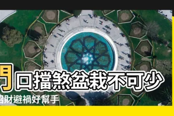 【門口擋煞盆栽】門口擋煞盆栽不可少！招財避禍好幫手
