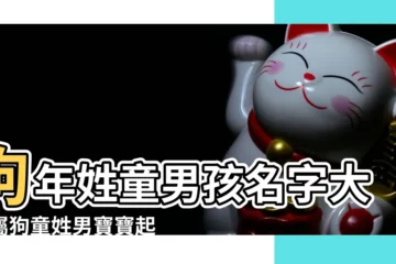 【狗年男寶寶姓童起名大全】狗年姓童男孩名字大全屬狗童姓男寶寶起名2018 |屬狗男孩起名大全 |屬狗年男寶寶名字大全 |