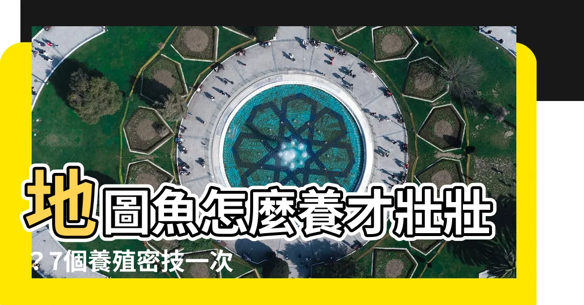 【地圖魚飼養】地圖魚怎麼養才壯壯？7個養殖密技一次瞭解！