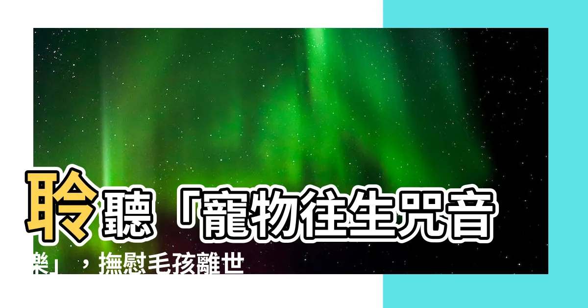 【寵物往生咒音樂】聆聽「寵物往生咒音樂」，撫慰毛孩離世之痛