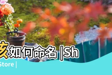 【用在公司名稱中的詞彙】該如何命名 |ShopStore |品牌名稱 |