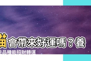 【貓會帶來好運嗎】貓會帶來好運嗎？養這些品種能招財轉運、帶旺主人！