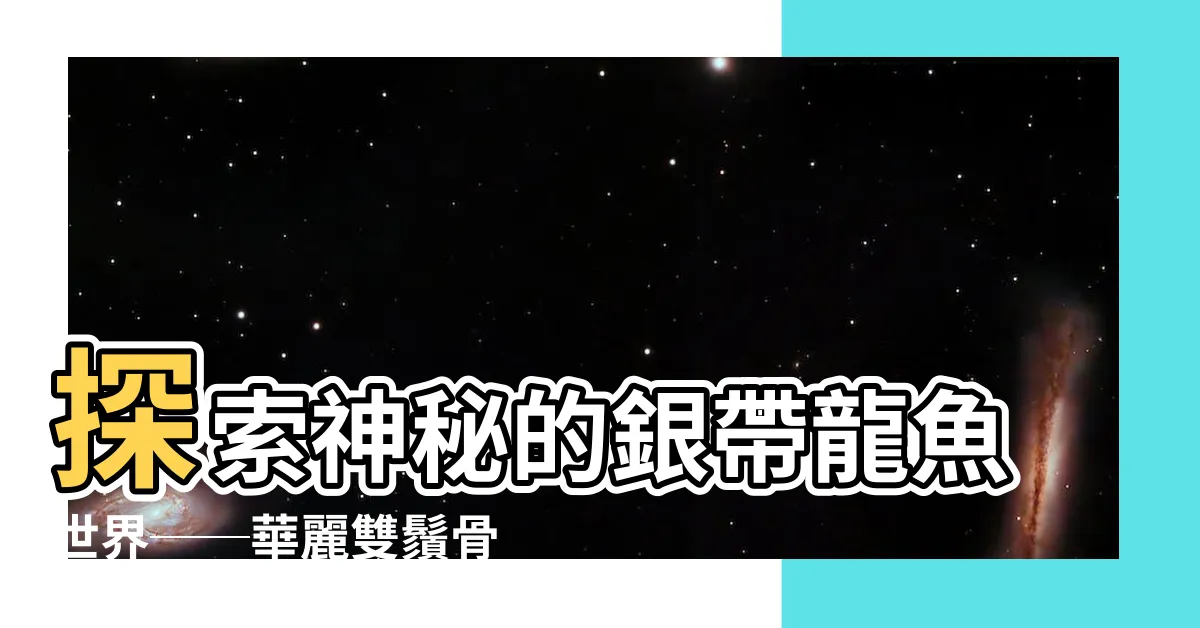 【銀帶龍魚】探索神秘的銀帶龍魚世界──華麗雙鬚骨舌魚與傳奇銀龍魚相伴