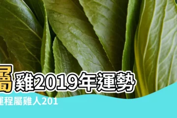 【2019年6月生肖雞女財運】屬雞2019年運勢及運程屬雞人2019年全年運勢 |屬雞人2019年6月運勢2019年屬雞6月運程 |屬雞2019年運勢及運程2019年屬雞人的全年運勢 |