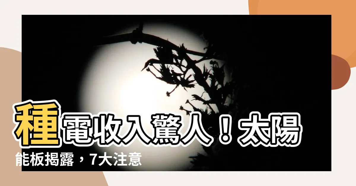【種電收入】種電收入驚人！太陽能板揭露，7大注意事項一次看懂