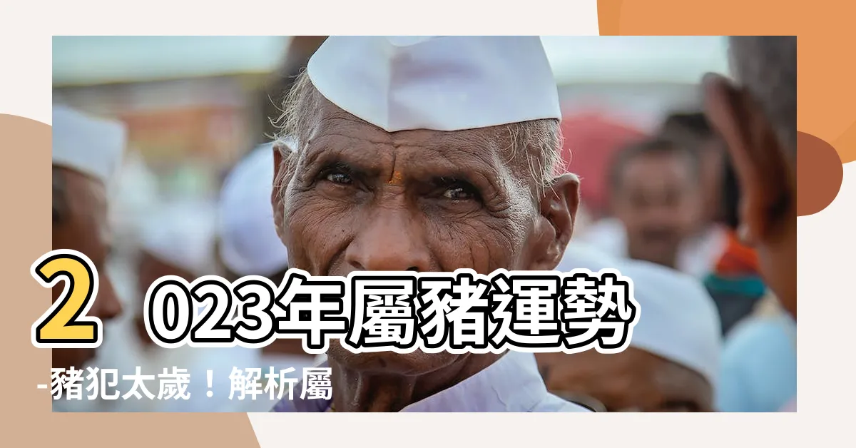 【豬犯太歲2023】2023年屬豬運勢-豬犯太歲！解析屬豬人今年的升職加薪關鍵