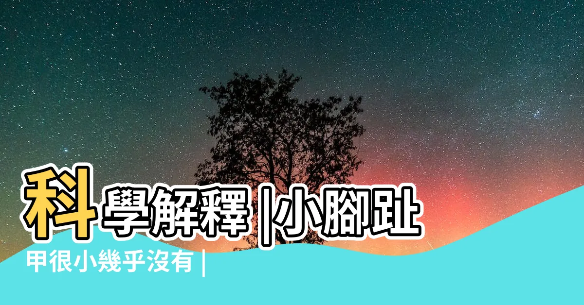 【小拇指沒有指甲】科學解釋 |小腳趾甲很小幾乎沒有 |瓣狀甲特徵 |