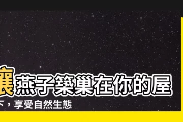 【如何讓燕子來築巢】讓燕子築巢在你的屋簷下，享受自然生態的樂趣！