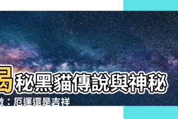 【黑貓代表什麼】揭秘黑貓傳説與神秘象徵：厄運還是吉祥？
