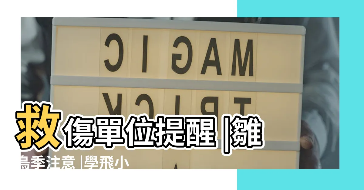 【小鳥死掉怎麼辦】救傷單位提醒 |雛鳥季注意 |學飛小鳥別亂撿 |