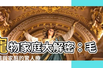 【寵物家庭】寵物家庭大解密：毛小孩與家庭的驚人療癒力