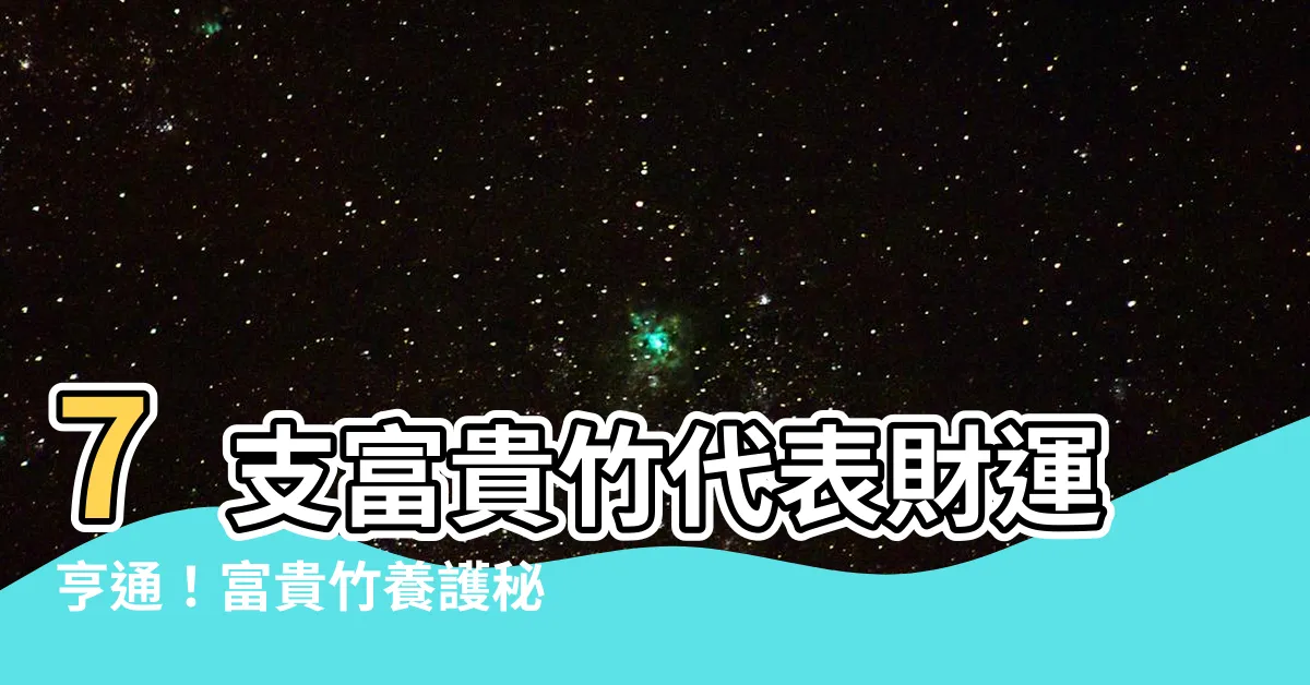 【7支富貴竹】7支富貴竹代表財運亨通！富貴竹養護秘訣大公開