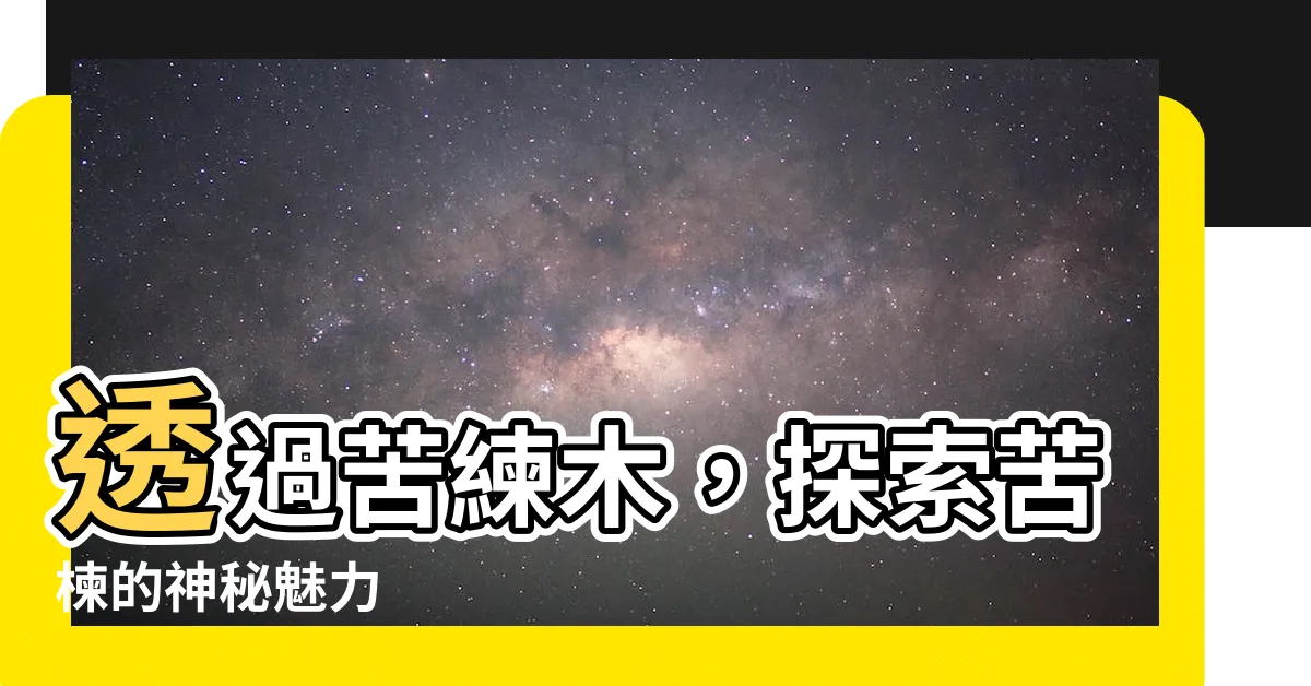 【苦練木】透過苦練木，探索苦楝的神秘魅力