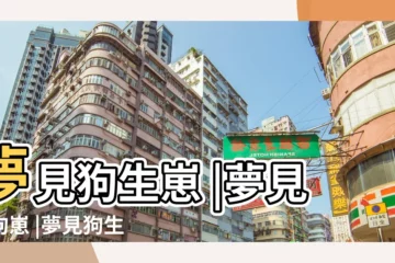 【周公解夢夢見狗下一堆狗崽】夢見狗生崽 |夢見小狗崽 |夢見狗生了一大堆小狗 |