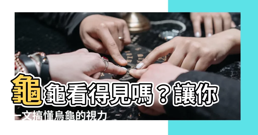 【烏龜看得到嗎】龜龜看得見嗎？讓你一文搞懂烏龜的視力世界