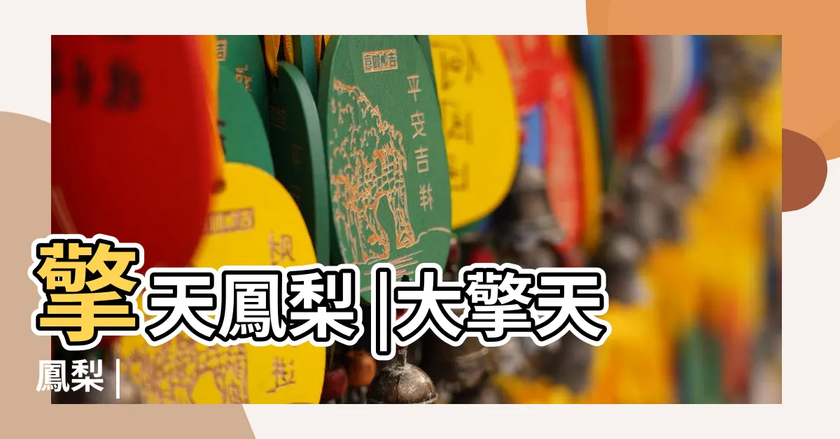 【擎天鳳梨】擎天鳳梨 |大擎天鳳梨 |