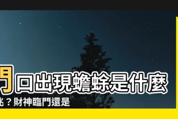 【門口有蟾蜍】門口出現蟾蜍是什麼徵兆？財神臨門還是破財擋煞？