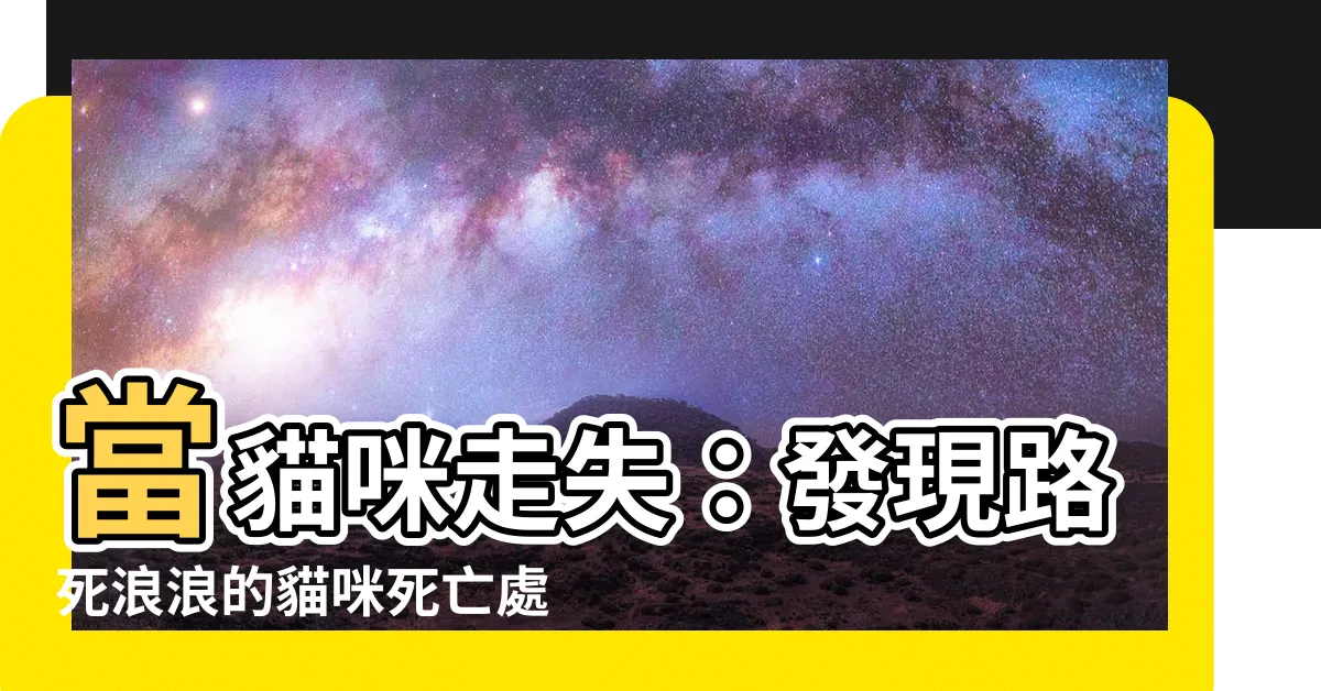 【貓咪死亡處理】當貓咪走失：發現路死浪浪的貓咪死亡處理指南