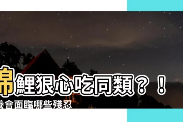 【錦鯉會吃小魚嗎】錦鯉狠心吃同類？！混養會面臨哪些殘忍真相！