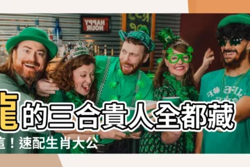 【龍的三合】龍的三合貴人全都藏在這！速配生肖大公開