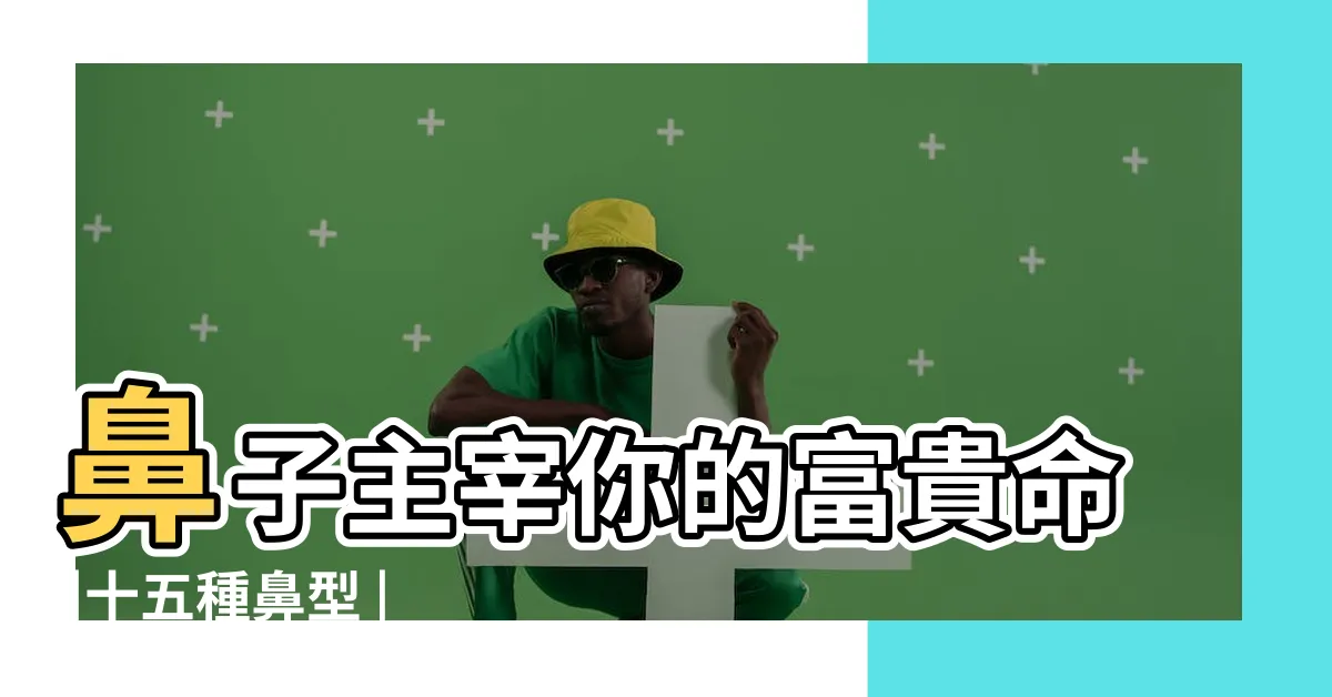 【好鼻子】鼻子主宰你的富貴命 |十五種鼻型 |你屬於哪一種 |